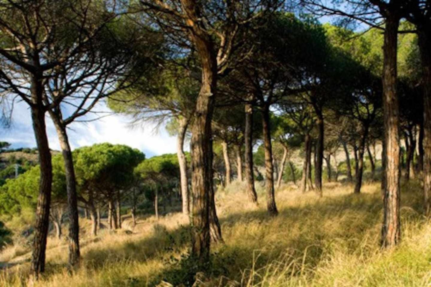 فيلا Ca Landreu Ecoturisme Tiana المظهر الخارجي الصورة